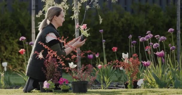 Vrouw Tuinier Planten Bloemen Tuin — Stockvideo