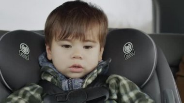 İki yıllık genç bir yolcunun portresi. Çocuk arabası koltuğunda gezer.