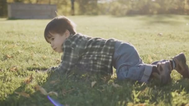 Een Grappige Speelse Puppy Plakt Aan Baby Wil Spelen Kinderen — Stockvideo