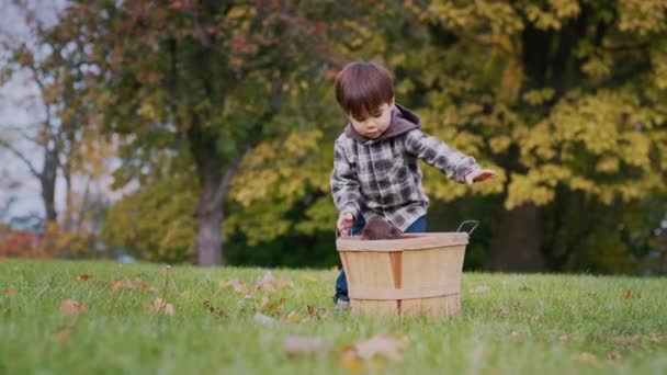 Vidám Ázsiai Kisgyerek Játszik Kis Kölykökkel Parkban — Stock videók