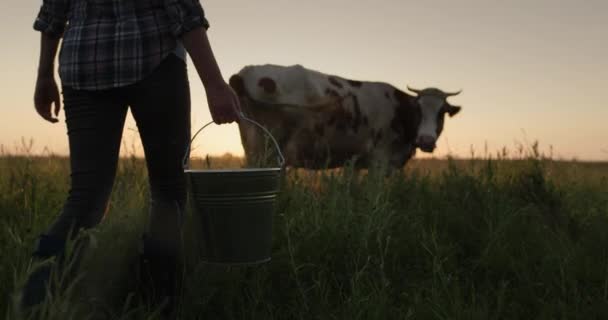 Farmer Wiadrem Ręku Pastwisku — Wideo stockowe