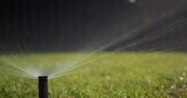 Otomatik sulama başlığı yerden yükseliyor. Basınç altındaki bir su akıntısı yeşil çimenleri sular..