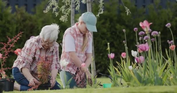 Grandmother Granddaughter Plant Flowers Together Backyard House — Stockvideo