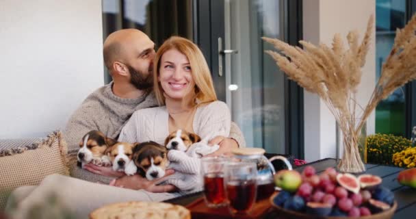 Feliz Familia Joven Relajándose Terraza Casa Con Cachorros Beagle — Vídeo de stock
