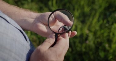 Araştırmacılar büyüteçten büyük bir geyik böceğine bakıyor. 4k video