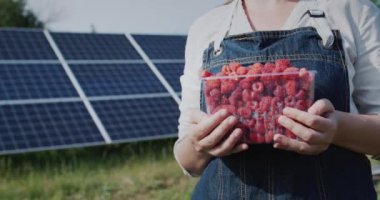 Bir çiftçi yeni toplanmış bir ahududu tutar ve bir güneş enerjisi santralinin panelinin önünde durur. Ekoloji ve organik ürünler kavramı.