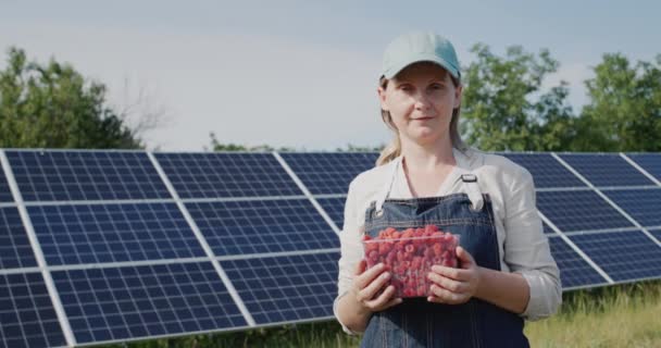 一位农民站在一家太阳能发电厂前 手里拿着一集装箱覆盆子覆盆子 来自小农场的环保产品 — 图库视频影像