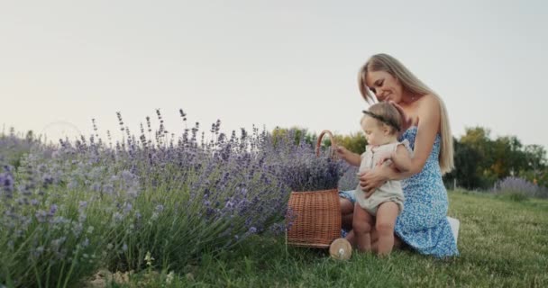Mom Little Daughter Basket Lavender Lavender Field Beauty Health Concept — Stockvideo
