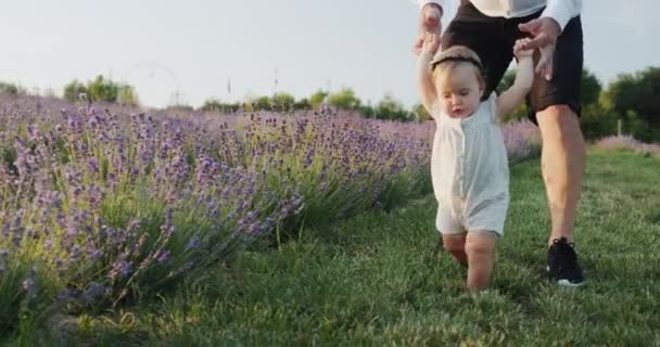 Dad Teaches His Daughter Walk Child Takes First Steps Holding — Vídeo de stock