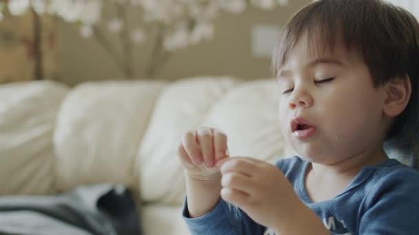 Asian Two Year Old Baby Eats Grapes Watches Attentively — Vídeo de stock