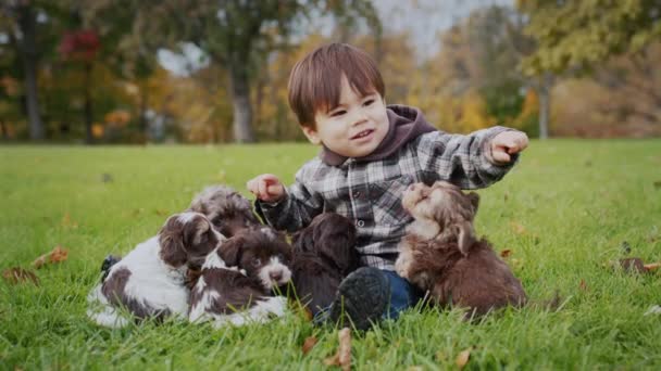 Cheerful Asian Toddler Playing Puppies Green Lawn — Stockvideo