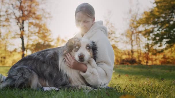 一个10岁的女孩正在草地上的公园里摸她的狗 和你心爱的宠物一起散步4K视频 — 图库视频影像