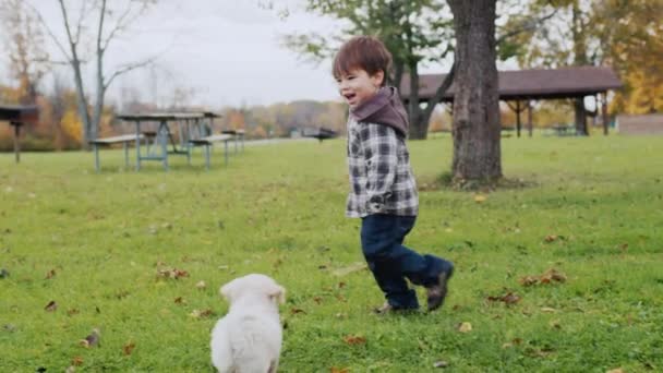 Energico Bambino Asiatico Fugge Dai Piccoli Cuccioli Cuccioli Corrono Dietro — Video Stock