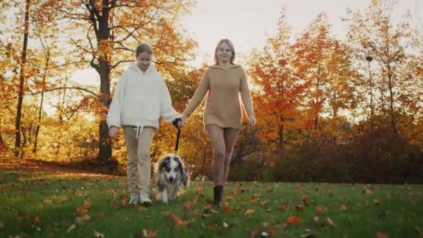 Mother Daughter Walk Dog Together Park Sunset Video — стоковое видео