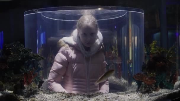 Child Admires Underwater World Aquarium — Stok video