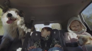 A cheerful company of two children, a dog and a puppy rides in the back seat of a car.