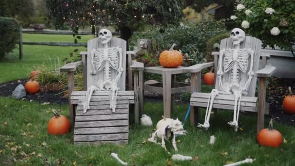 Pair Skeletons Resting Sun Loungers Halloween Decoration — Video