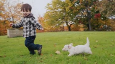A little boy with puppies runs on the lawn, plays with pets.