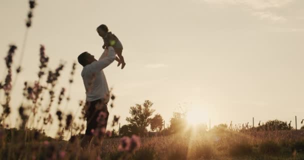 Active Dad Throws His Daughter Sunset Playing Child Lavender Field – Stock-video