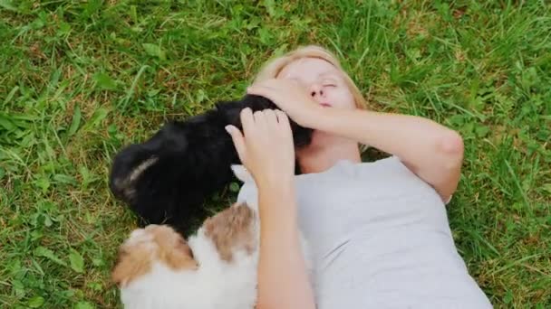 Bir Kadın Çimenlikte Iki Köpek Yavrusuyla Oynuyor Sevdiği Evcil Hayvanlar — Stok video