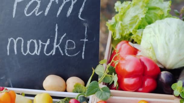 Vegetables Plate Farm Market Counter — Stockvideo