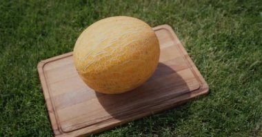 Ripe melon lies on a cutting board on the lawn. Outdoor picnic.