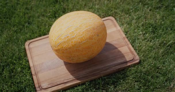 Ripe Melon Lies Cutting Board Lawn Outdoor Picnic — 图库视频影像