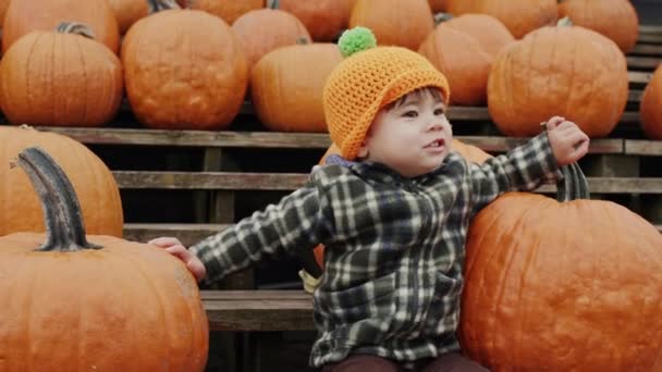 Cheerful Kid Sits Bench Rows Pumpkins Autumn Fair Honor Halloween — Stock videók