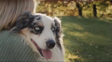 Happy woman gently embraces his faithful dog in the rays of the setting sun. Attachment and Favorite Pet Concept. 4k slow motion video