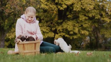 Child in autumn park playing with puppies on lawn.