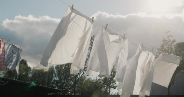 Wet White Shirts Dry Clothesline Wind — Stockvideo