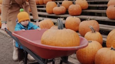 A happy baby with his mother is carrying a pumpkin in a wheelbarrow. Shopping for halloween.