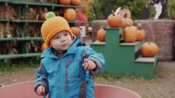 Portrait Asian Kid Halloween Fair — Stock videók