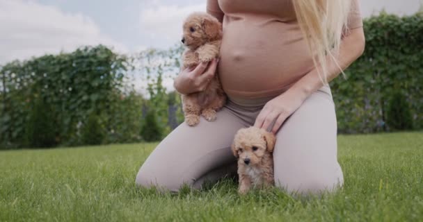 妊娠中の女性遊びます子犬と芝生の上で彼女の家の近く — ストック動画