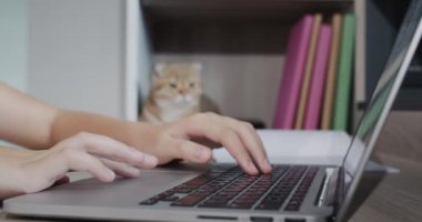The childs hands are typing text on a laptop keyboard. In the background, a ginger cat is a companion