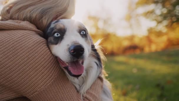 Una Donna Abbraccia Dolcemente Suo Amato Cane Durante Una Passeggiata — Video Stock