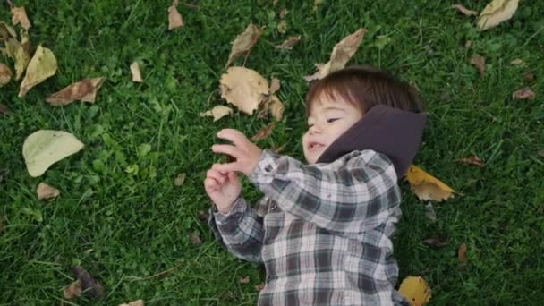 Wesoły Azjatycki Dzieciak Leży Trawie Żółtych Liściach Zabawny Spacer — Wideo stockowe