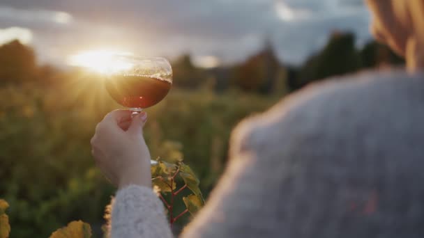 Taster Holds Glass Red Wine Background Vineyard Sun Sets Tourism — ストック動画