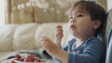 İki yaşındaki Asyalı bebek üzüm yiyor ve dikkatle televizyon izliyor.