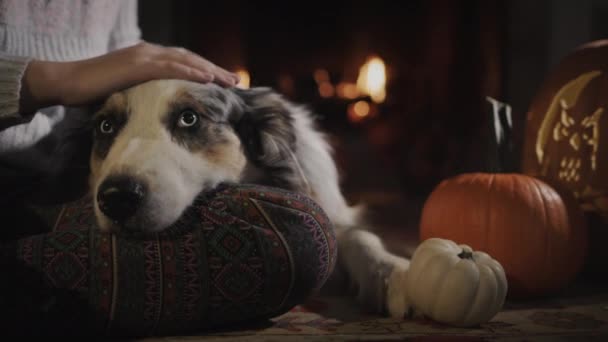 Der Besitzer Des Haustieres Mit Dem Hund Entspannt Sich Kamin — Stockvideo