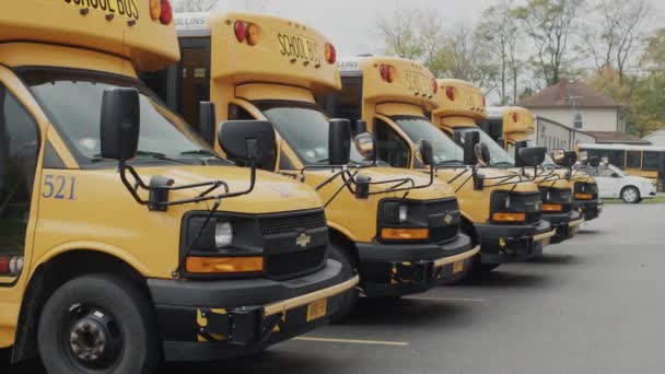Verschillende Gele Schoolbussen Staan Een Rij Parkeerplaats Bij School — Stockvideo