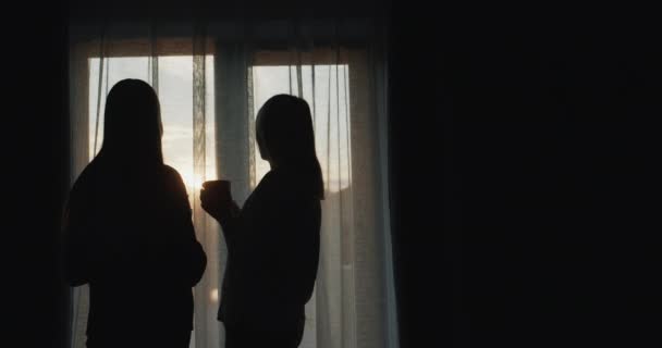 Een Vrouw Met Een Tienerdochter Staat Bij Zonsondergang Voor Het — Stockvideo