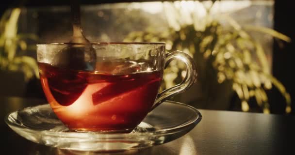 糖和一片柠檬一起被锤打成一杯茶 窗户发出的光很好地照亮了杯子和勺子 — 图库视频影像