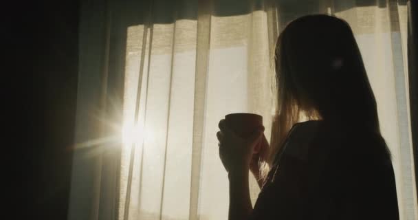 Femeie Ceașcă Ceai Fierbinte Uită Fereastra Care Răsărit Soarele Bautura — Videoclip de stoc