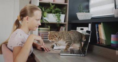 Şirin bir kedi genç bir kızla oynamak istiyor, onun bir dizüstü bilgisayarla çalışmasını engelliyor..