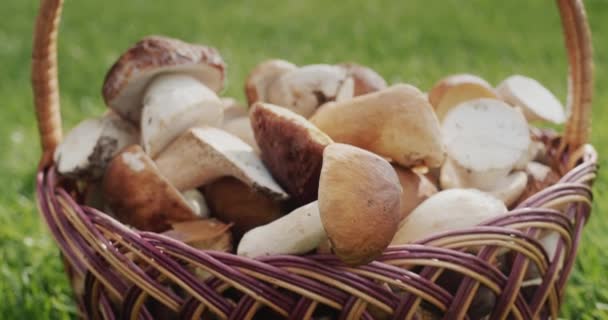 Piękny Wiklinowy Kosz Grzybami Zielonej Trawie — Wideo stockowe