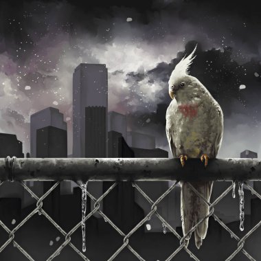 Cockatiel in urban Surrounding Illustration clipart