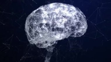 Pleksus Beyin Animasyonu 4