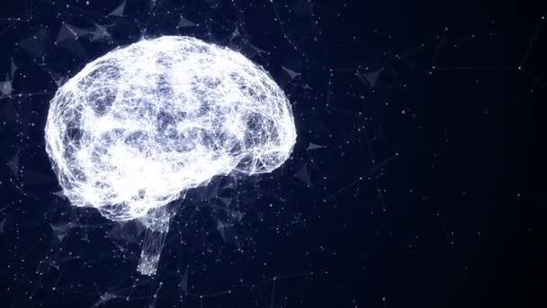 Plexo Cerebro Animación — Vídeos de Stock