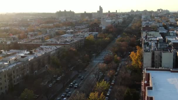 Brooklyn Crown Hights Aerial — Stock Video